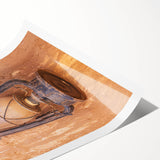 Extra large wall art featuring line art flowers in subtle earth tones, rolled print, ideal for large living room wall decor.