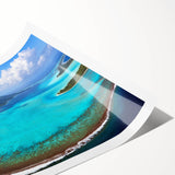 Extra large wall art featuring line art flowers in pastel shades on rolled print, ideal for large living room decor.