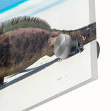 Mid-century modernist large abstract wall art of Galapagos scenery in vibrant colors on acrylic glass.