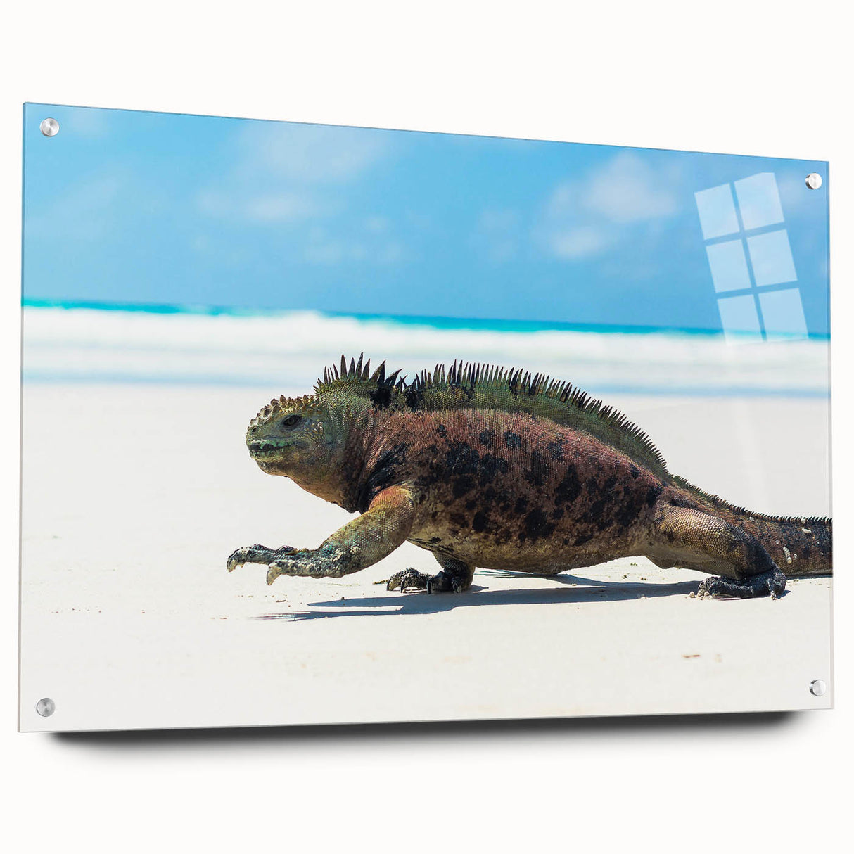 Acrylic print of a Galapagos landscape with vivid blue and green tones, suitable for bedroom or dining room decor.