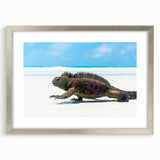 Textured abstract art print of a Galapagos scenery in muted earth tones on a silver-framed mat, ideal for bedroom art.