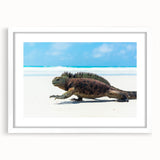 Abstract art print of a Galapagos scenery on a white-framed mat, featuring soft blue and green tones.