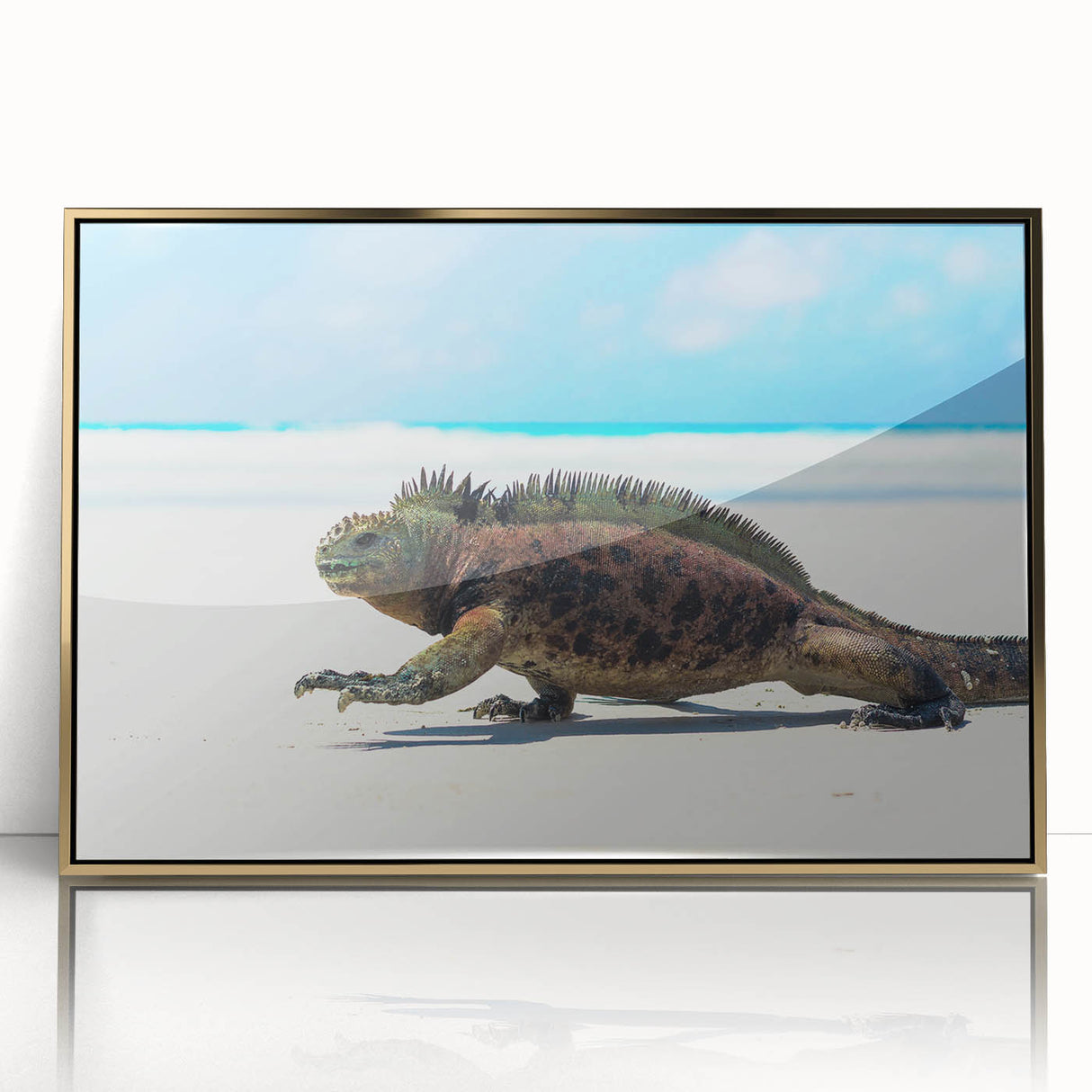 Acrylic print of a Galapagos scenery in gold frame, featuring mid-century modernist style, ideal for modern art wall decor.