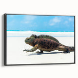 Black and white landscape art of the Galápagos Islands on framed canvas, ideal for bedroom decor.