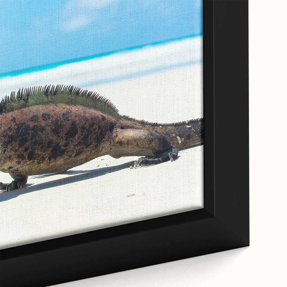 Extra large framed canvas of a textured, colorful abstract design with black accents, ideal for living room decor.