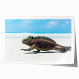 Extra large rolled print of Galapagos scenery, featuring vibrant green and blue tones, ideal for dining room wall art.