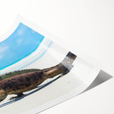 Extra large wall art featuring line art flowers in muted earth tones on rolled canvas, suitable for large living room decor.