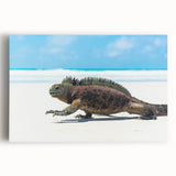 Black and white stretched canvas of Galapagos scenery, ideal for kitchen wall art.