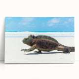 Black and white stretched canvas of Galápagos scenery, ideal for kitchen wall art or bedroom ambiance.