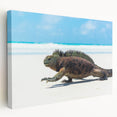 Galapagos scenery on large stretched canvas with vivid blue and green tones, ideal for kitchen wall art.
