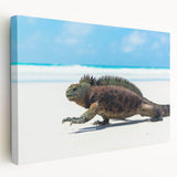 Galapagos scenery on large stretched canvas with vivid blue and green tones, ideal for kitchen wall art.