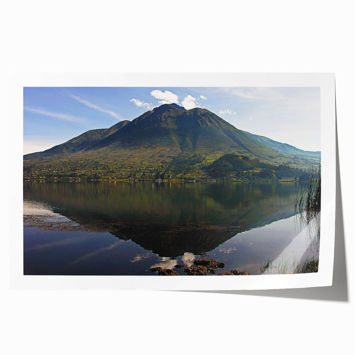 Rolled print of an Ecuadorian landscape with lush greenery and floral elements in soft earth tones.