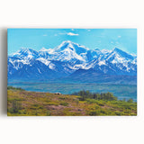 Black and white stretched canvas of Denali, Alaska landscape, ideal for kitchen wall art.