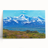 Black and white image of Denali, Alaska on large stretched canvas, suited for kitchen wall art or bedroom decor.