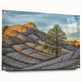 Acrylic print of Arizona's Coyote Buttes in earthy orange and brown tones, suitable for bedroom or dining room decor.