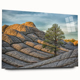 Large abstract wall art of Arizona's Coyote Buttes in muted earth tones on acrylic glass.