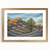 Extra large wall art of Coyote Buttes in Arizona, featuring abstract textured surfaces in earthy tones, framed in gold.