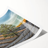 Extra large wall art featuring line art flowers set against a Coyote Buttes, Arizona scenery backdrop.
