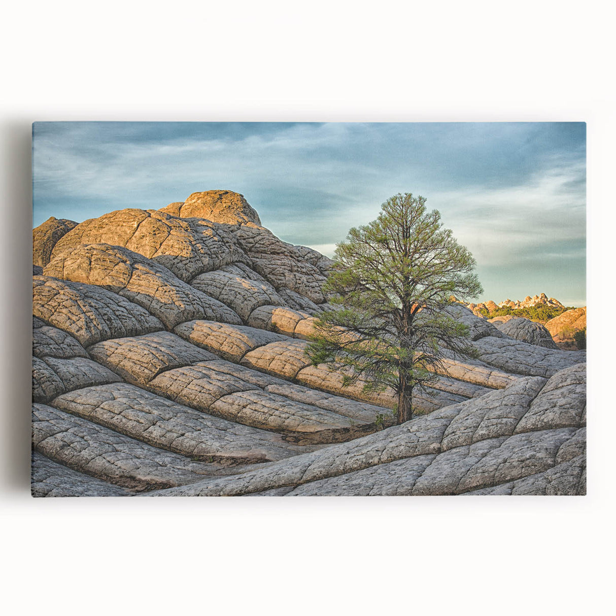 Black and white photograph of Arizona's Coyote Buttes on stretched canvas, ideal for kitchen wall art.