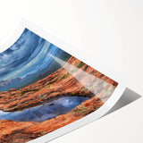 Extra large rolled print of line art flowers in muted earth tones, ideal for large living room wall art.