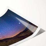 Extra large wall art depicting line art flowers in muted tones on a rolled print, suitable for large living room decor.