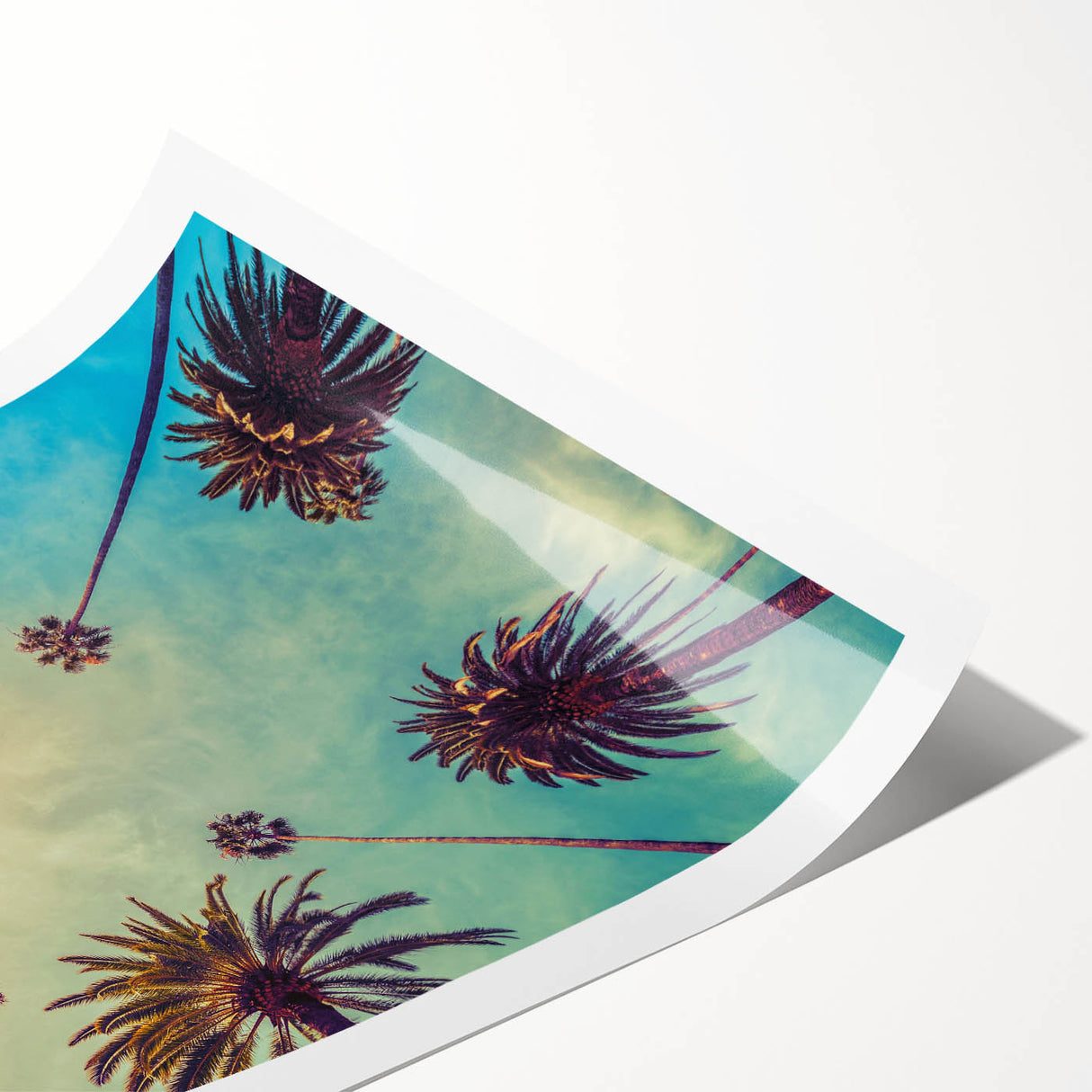 Extra large wall art featuring line art flowers in black on a white background, ideal for large living room decor.