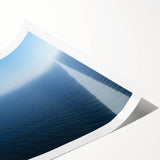 Extra large wall art depicting line art flowers in black on white, rolled print format.