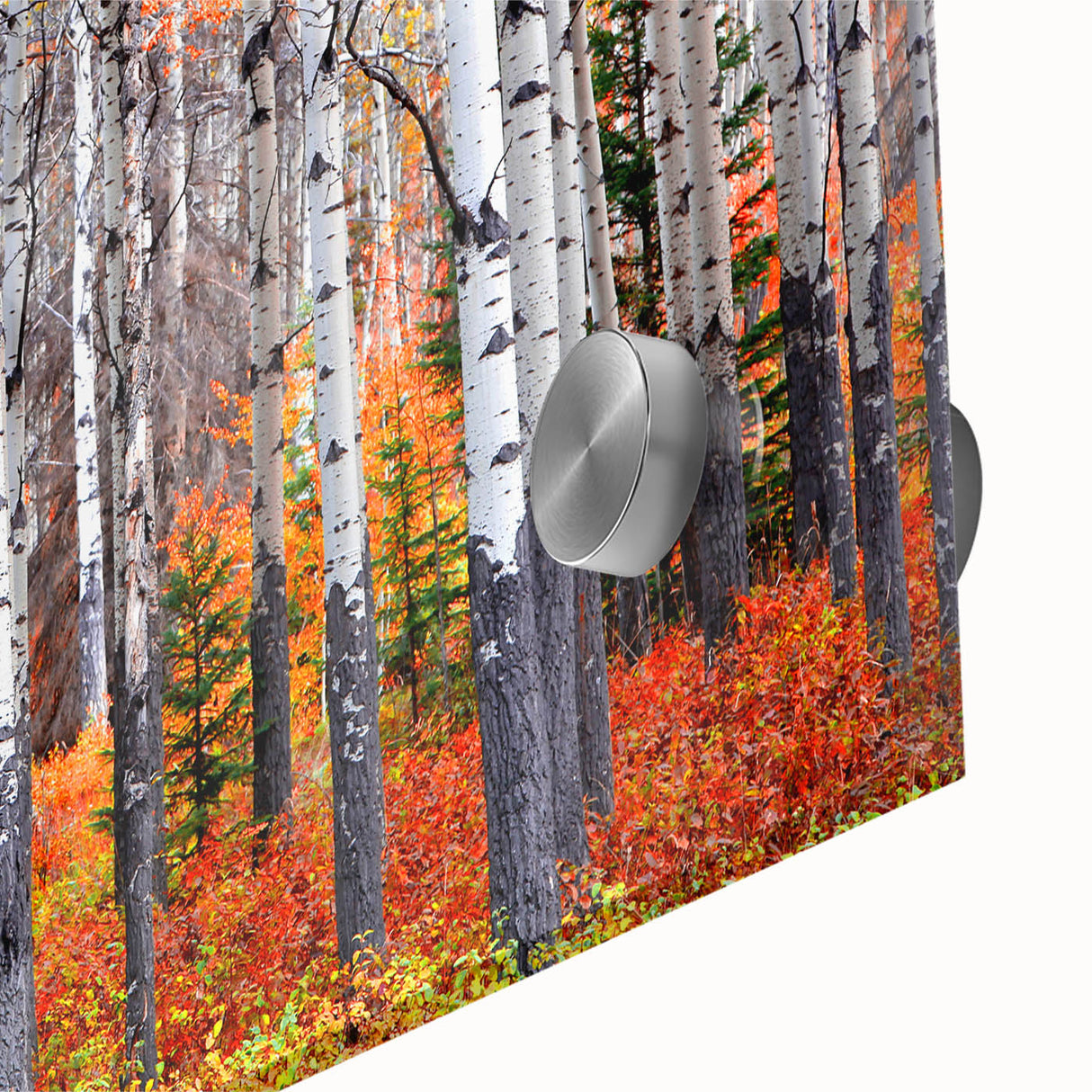 Large abstract wall art featuring Aspen, Colorado scenery in mid-century modernist style on acrylic glass.