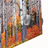 Large abstract wall art featuring Aspen, Colorado scenery in mid-century modernist style on acrylic glass.