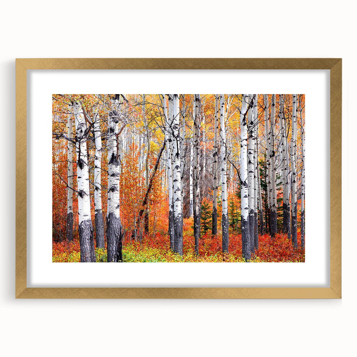 Extra large abstract art print of Aspen scenery in textured gold frame, ideal for living room decor.