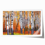 Extra large rolled print of Aspen scenery in muted earth tones, ideal for dining room wall art.
