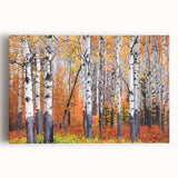 Black and white photo of Aspen trees on stretched canvas, ideal for kitchen wall art.