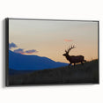 Framed canvas depicting a black and white landscape of the Rocky Mountains, ideal for bedroom wall art.