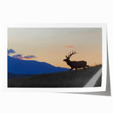 Rolled print of the Rocky Mountains in muted earth tones, ideal for art wall dining room.