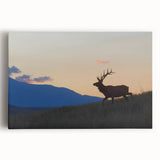 Black and white photograph of Rocky Mountains on stretched canvas, suitable as large kitchen wall art.