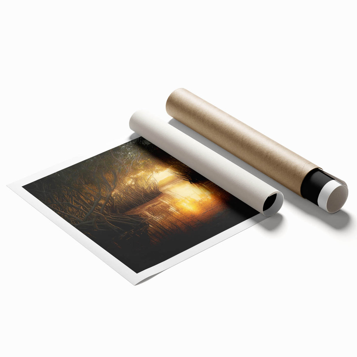 Extra large rolled print of Everglades scenery with vibrant greens and blues.