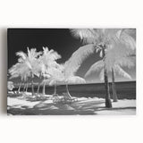 Black and white stretched canvas of Florida Keys scenery, ideal for kitchen wall art.