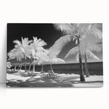 Black and white stretched canvas of Florida Keys scenery, ideal for kitchen wall art or bedroom ambiance.