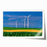 Rolled print of Iowa scenery with muted green and brown tones, suitable as art wall dining room or classy bathroom wall art.