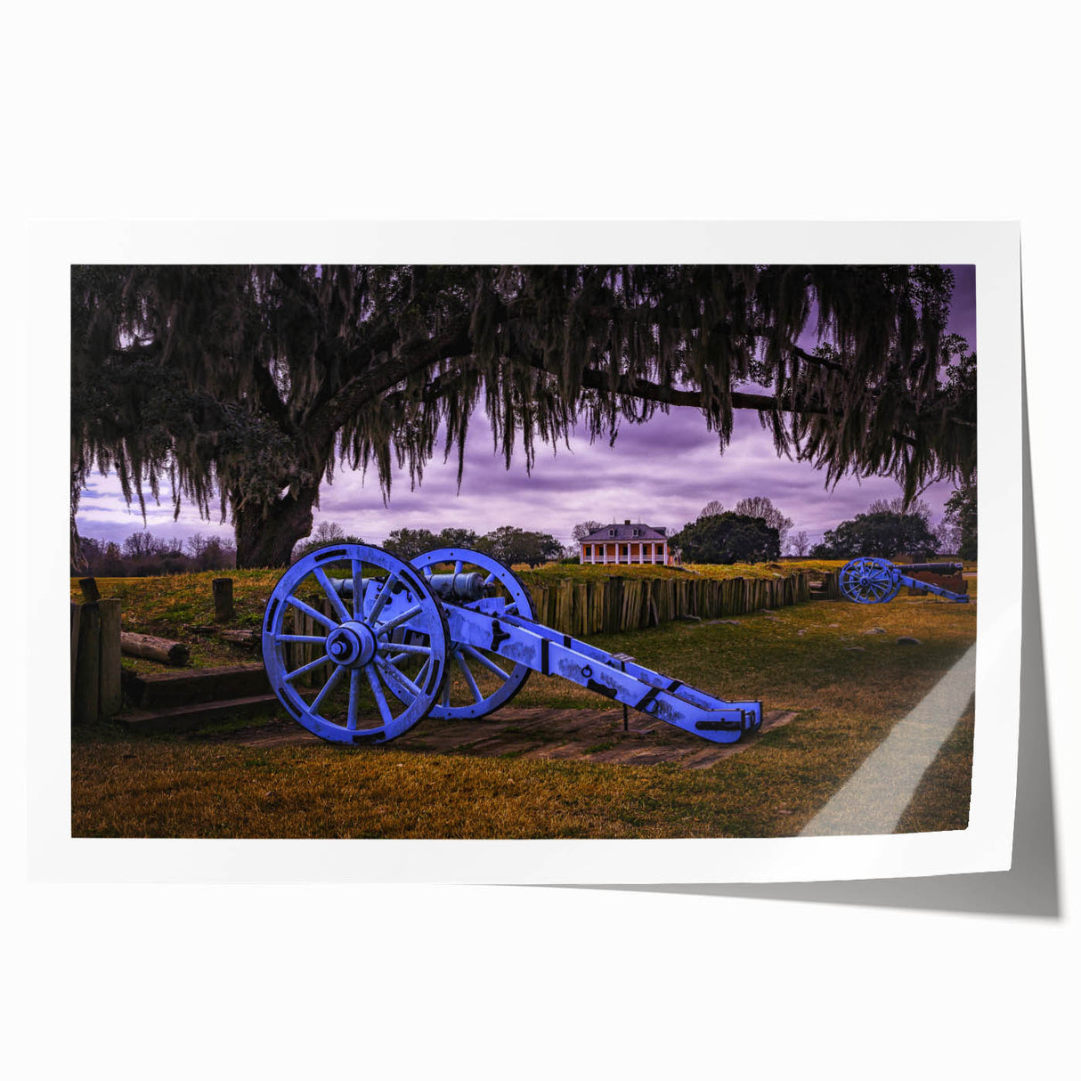 Rolled print of Louisiana scenery with vibrant floral elements, ideal for art wall dining room.