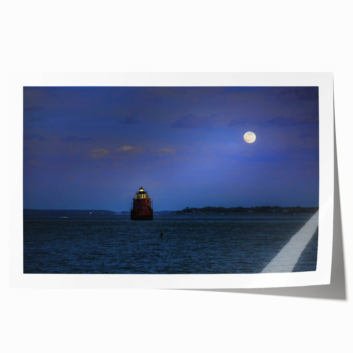 Extra large rolled print of Annapolis scenery with vibrant floral designs, ideal for art wall dining room.