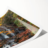 Extra large wall art featuring line art flowers in soft pastel shades on a rolled canvas, ideal for large living room decor.