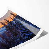 Extra large rolled print featuring line art flowers in monochrome, ideal for large living room wall art.