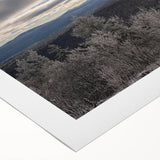 Art deco poster featuring a serene Adirondacks landscape on rolled canvas, suitable for dining room wall art.