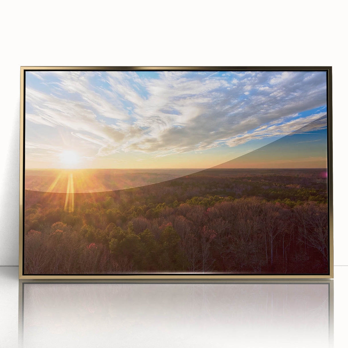 Acrylic print of a Virginia landscape in gold frame, featuring mid-century modernist style, ideal for nursery wall art.