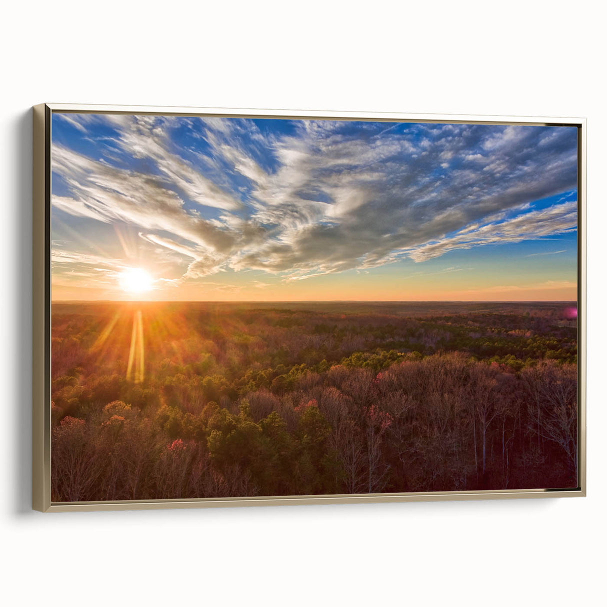 Framed canvas depicting a Virginia landscape in muted earth tones, suitable as wall art for a bedroom.