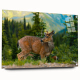 Acrylic print of Olympic National Park with lush greenery and mountain backdrop in muted earth tones.