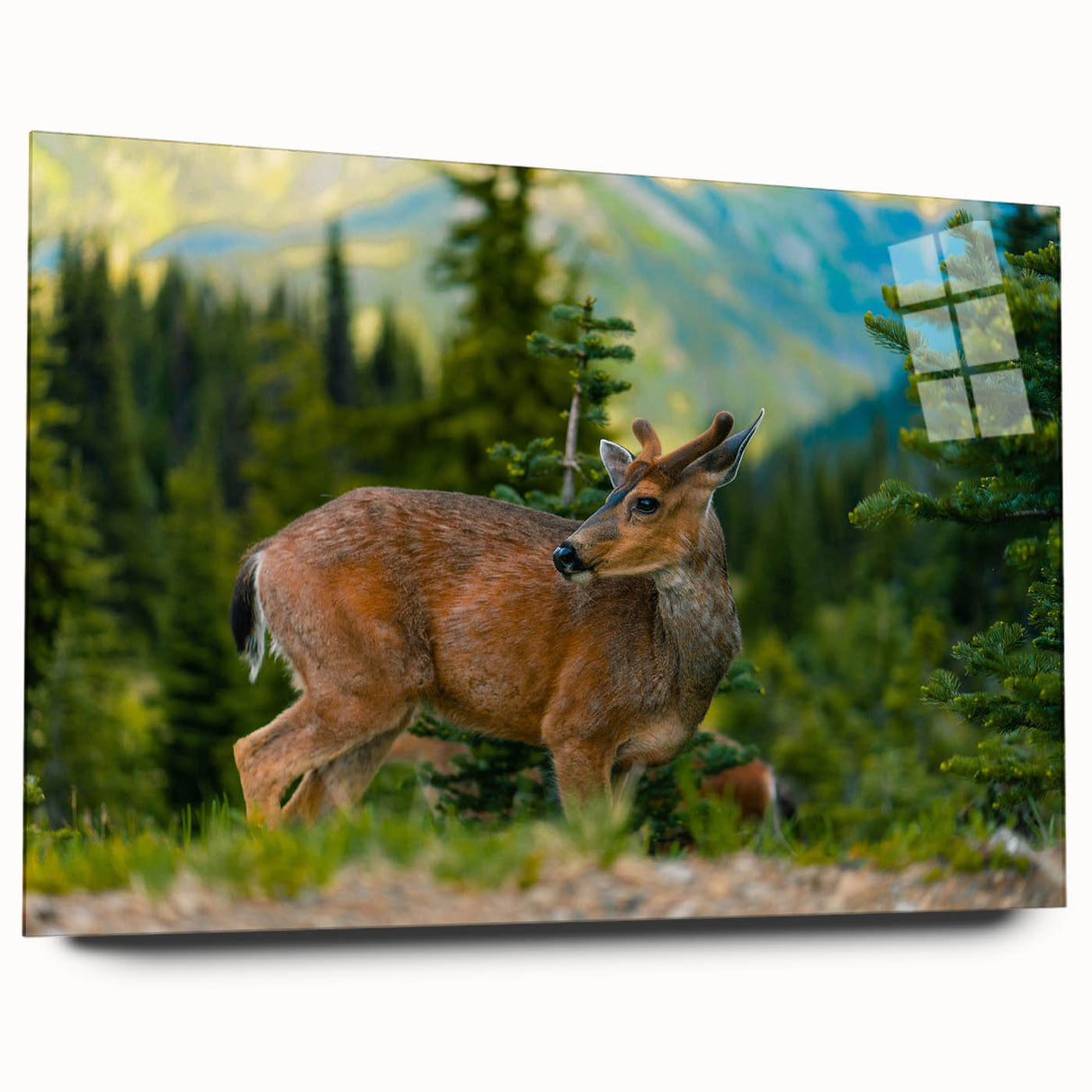 Large abstract wall art of the Olympic scenery in muted earth tones, printed on acrylic glass.