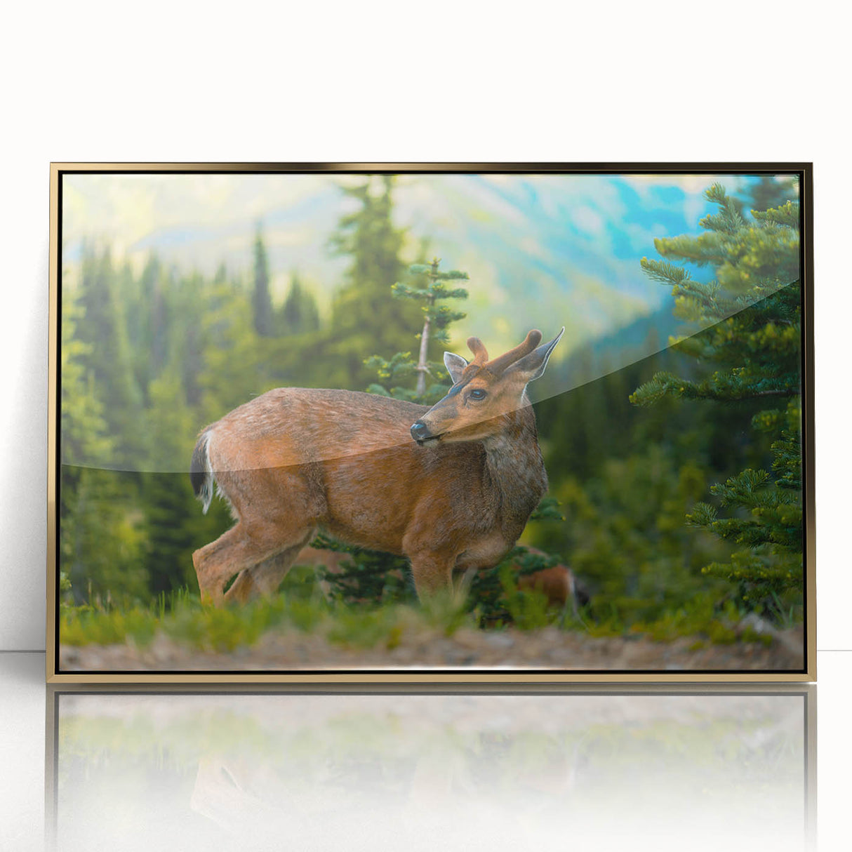 Large art print of Olympic National Park with muted earth tones on a framed acrylic, in mid-century modernist style.