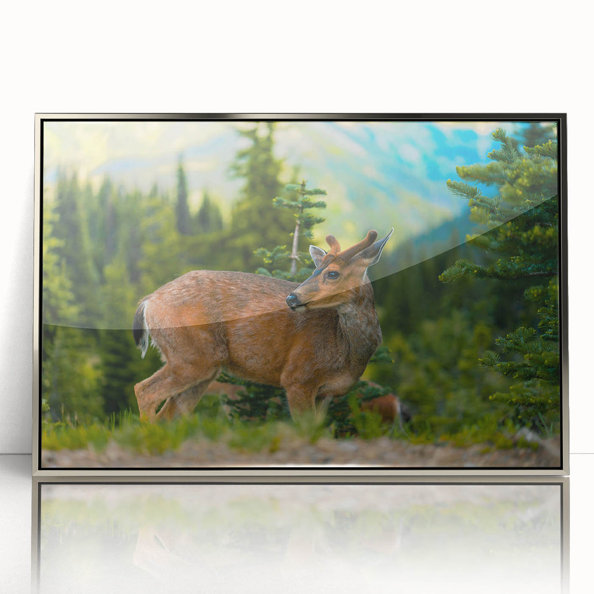 Mid-century modernist art of Olympic National Park in muted earth tones on a silver-framed acrylic print.